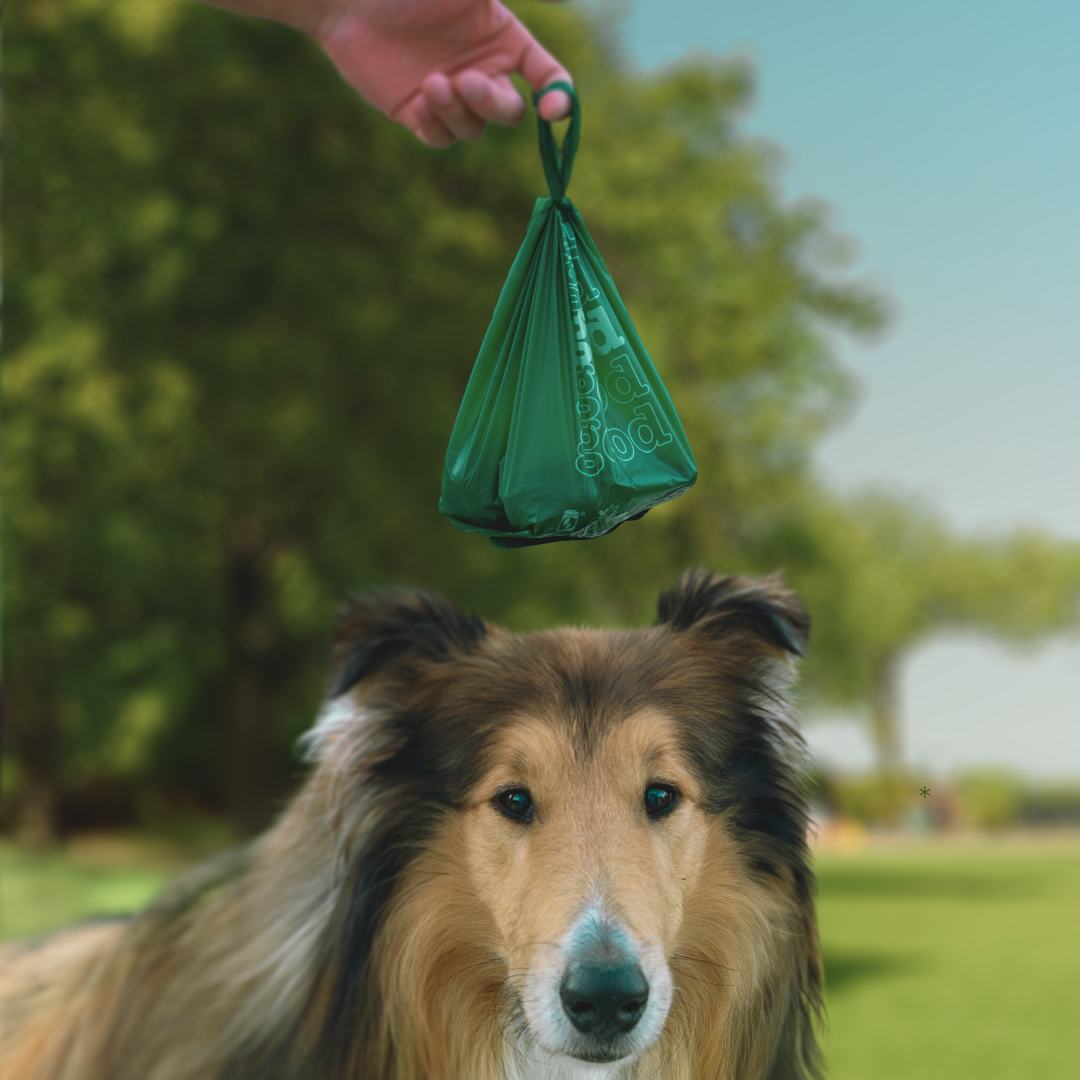 Compostable Poop Bags